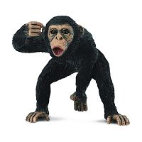 Фигурка Шимпанзе самец Collecta 88492b