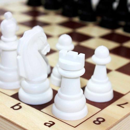 Игра настольная Шахматы и шашки Десятое королевство 03879 фото 3
