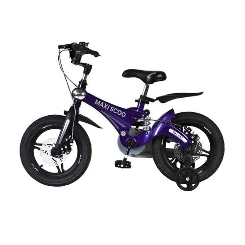Детский двухколесный велосипед Galaxy Делюкс плюс 14 Maxiscoo MSC-G1406DP фиолетовый фото 3